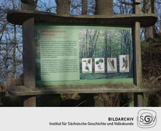 Infotafel an der historischen Lindenallee, dem Aufgang zur Landeskrone bei Görlitz.