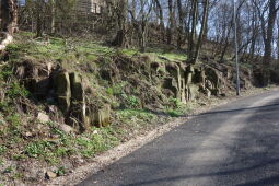 Die Straße zum Gipfel der Landeskrone bei Görlitz.