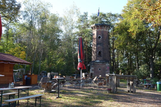 Das Gelände am ehemaligen Lugturm bei Heidenau.