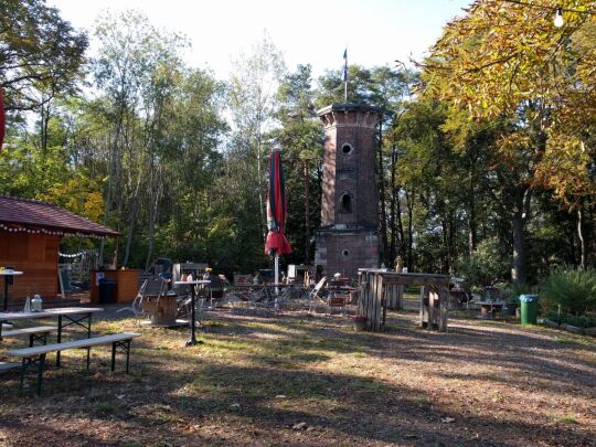 Das Gelände am ehemaligen Lugturm bei Heidenau.