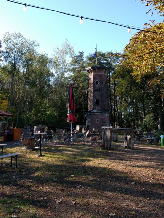 Das Gelände am ehemaligen Lugturm bei Heidenau.