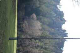 Blick zu den Nonnenfelsen im Zittauer Gebirge.