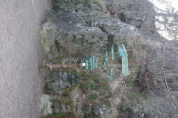 Wegweiser auf den Nonnenfelsen im Zittauer Gebirge.