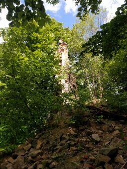 Die Ruine des Tischer- oder Mäuseturms in Radebeul-Oberlößnitz.