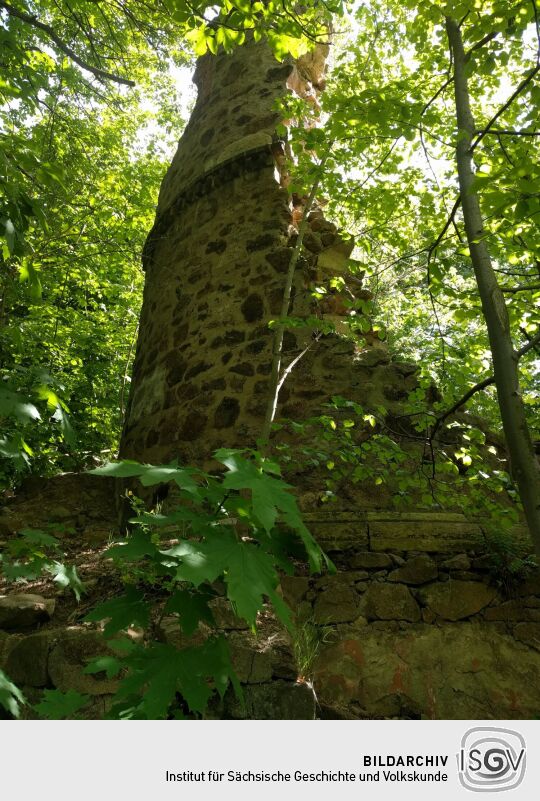 Die Ruine des Tischer- oder Mäuseturms in Radebeul-Oberlößnitz.