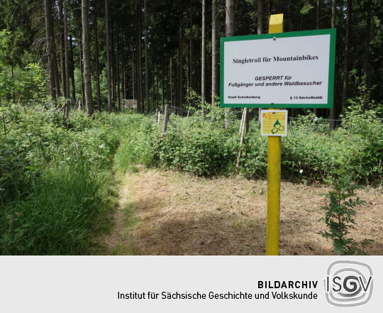 Startpunkt der Mountainbike-Strecke neben dem Aussichtsturm auf dem Scheibenberg.