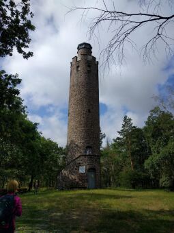 Der Aussichtsturm auf dem Schildberg bei Schildau.