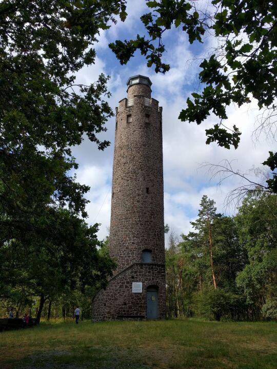 Der Aussichtsturm auf dem Schildberg bei Schildau.