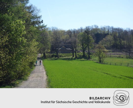 Auffahrt zum Wilisch bei Glashütte-Hermsdorf.