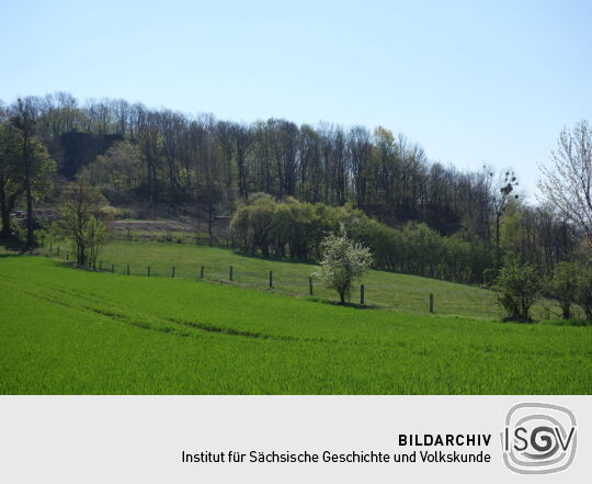 Der Wilisch bei Glashütte-Hermsdorf.