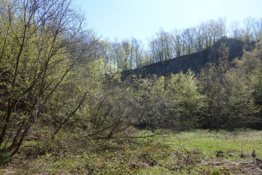 Blick auf die Abbruchkante im ehemaligen Steinbruch am Wilisch bei Glashütte-Hermsdorf (nördlicher Teil).