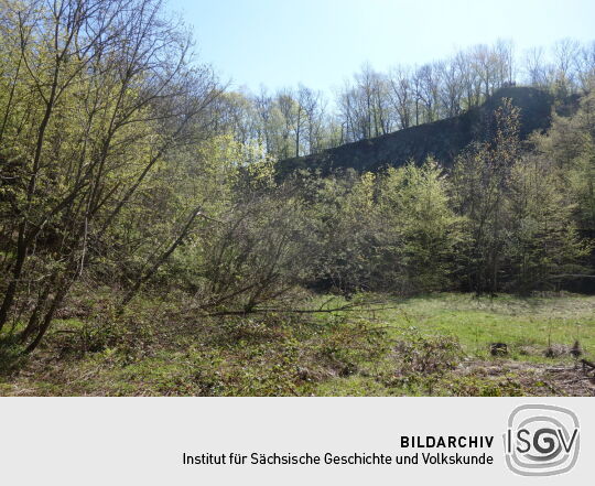 Blick auf die Abbruchkante im ehemaligen Steinbruch am Wilisch bei Glashütte-Hermsdorf (nördlicher Teil).