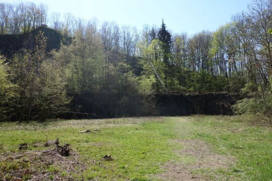 Blick auf die Abbruchkante im ehemaligen Steinbruch am Wilisch bei Glashütte-Hermsdorf (südlicher Teil).