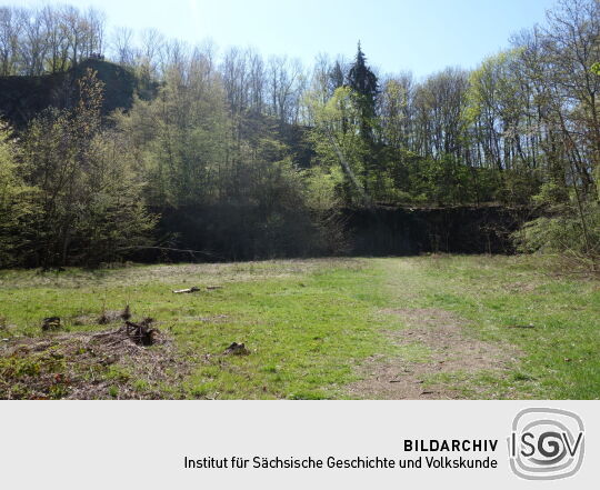 Blick auf die Abbruchkante im ehemaligen Steinbruch am Wilisch bei Glashütte-Hermsdorf (südlicher Teil).