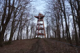 Aussichtsturm auf dem Schlechteberg bei Ebersbach.