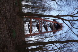 Aussichtsturm auf dem Schlechteberg bei Ebersbach.