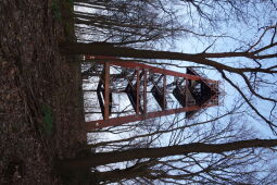 Aussichtsturm auf dem Schlechteberg bei Ebersbach.