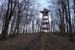 Aussichtsturm auf dem Schlechteberg bei Ebersbach.