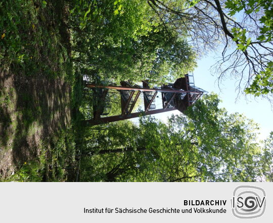 Aussichtsturm auf dem Schlechteberg bei Ebersbach.