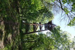 Aussichtsturm auf dem Schlechteberg bei Ebersbach.