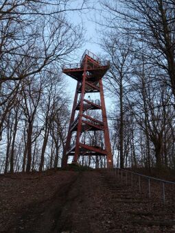 Aussichtsturm auf dem Schlechteberg bei Ebersbach.