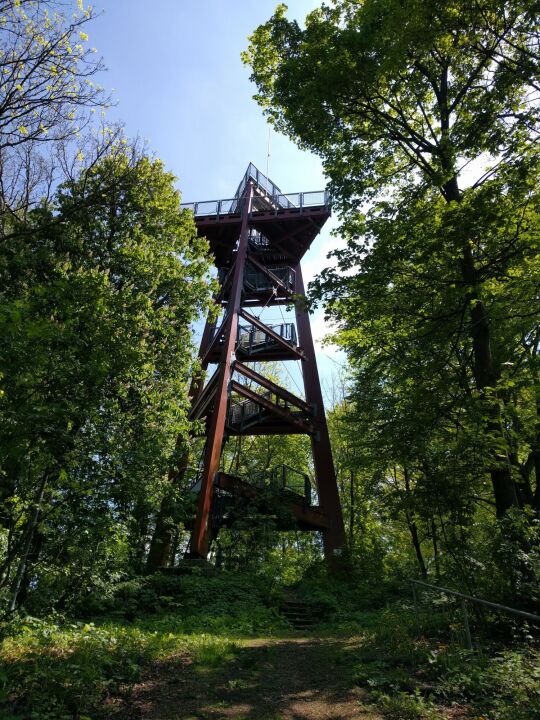 Aussichtsturm auf dem Schlechteberg bei Ebersbach.