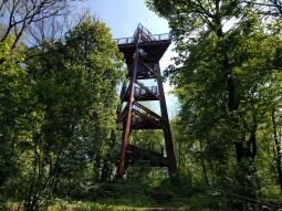 Aussichtsturm auf dem Schlechteberg bei Ebersbach.