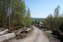 Bild: Zugang von der Geleitstraße nach Blockhausen, einem international renommierten Ort sächsischer Kettensägekunst.