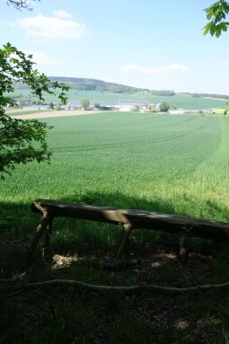 Die heutige Aussicht an Beckenbergbaude bei Eibau.
