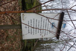 Infotafel am Weg auf den Hochstein bei Elstra.