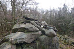 Anlagen auf dem Hochstein bei Elstra.