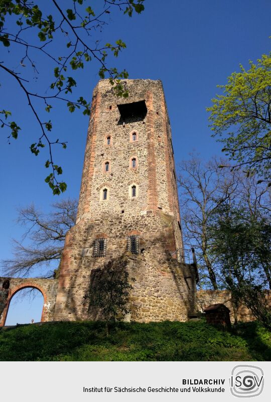 Der Turm der Ritterburg im Landschaftspark Machern.