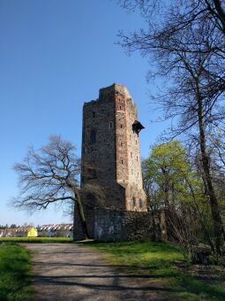 Der Turm der Ritterburg im Landschaftspark Machern.