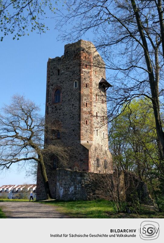 Der Turm der Ritterburg im Landschaftspark Machern.