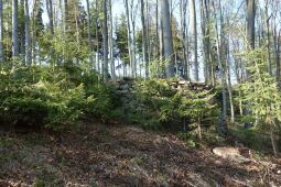 An der Judeichhöhe bei Lengefeld.