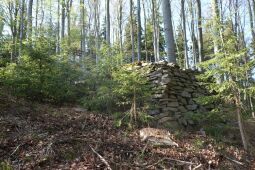 Bild: An der Judeichhöhe bei Lengefeld.