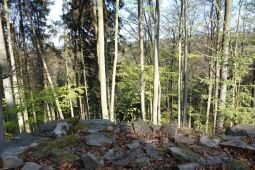 An der Judeichhöhe bei Lengefeld.