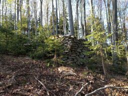 An der Judeichhöhe bei Lengefeld.