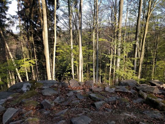 An der Judeichhöhe bei Lengefeld.