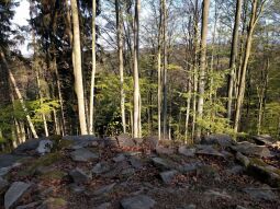 An der Judeichhöhe bei Lengefeld.