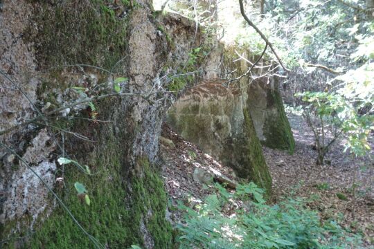 Das ruinöse Fundament des ehemaligen Wettin-Turms auf dem Hasenpöhl bei Oelsnitz/Vogtl.