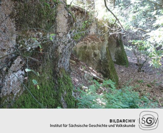 Das ruinöse Fundament des ehemaligen Wettin-Turms auf dem Hasenpöhl bei Oelsnitz/Vogtl.