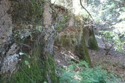Bild: Das ruinöse Fundament des ehemaligen Wettin-Turms auf dem Hasenpöhl bei Oelsnitz/Vogtl.
