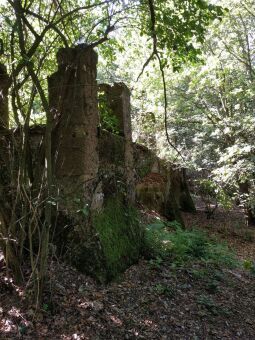 Das ruinöse Fundament des ehemaligen Wettin-Turms auf dem Hasenpöhl bei Oelsnitz/Vogtl.