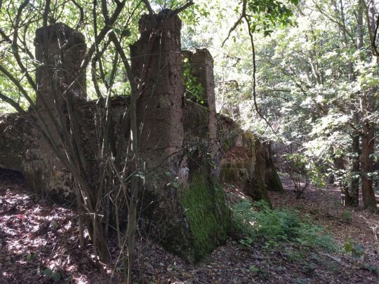 Das ruinöse Fundament des ehemaligen Wettin-Turms auf dem Hasenpöhl bei Oelsnitz/Vogtl.