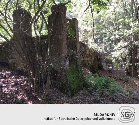 Das ruinöse Fundament des ehemaligen Wettin-Turms auf dem Hasenpöhl bei Oelsnitz/Vogtl.