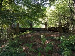 Das ruinöse Fundament des ehemaligen Wettin-Turms auf dem Hasenpöhl bei Oelsnitz/Vogtl.