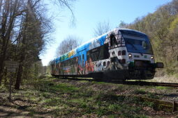 Nahverkehrszug auf der Bahnstrecke im Tal der Weißen Elster bei Pöhl.