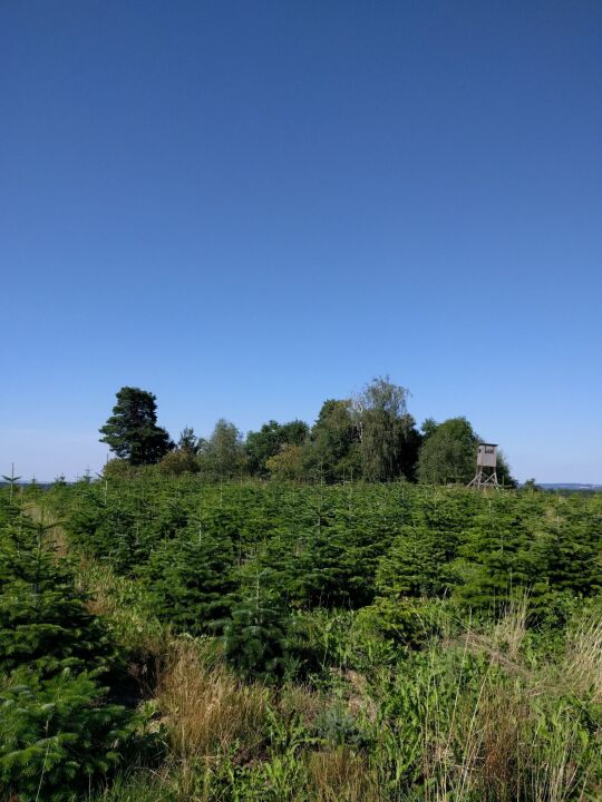 Blick zur Bergener Höhe.