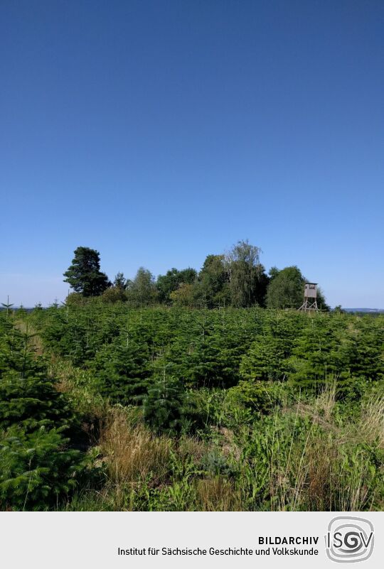 Blick zur Bergener Höhe.